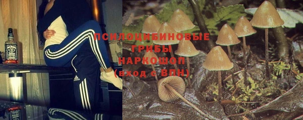 ПСИЛОЦИБИНОВЫЕ ГРИБЫ Мегион