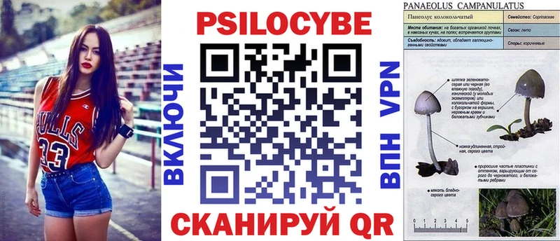 как найти   Тамбов  Псилоцибиновые грибы GOLDEN TEACHER 