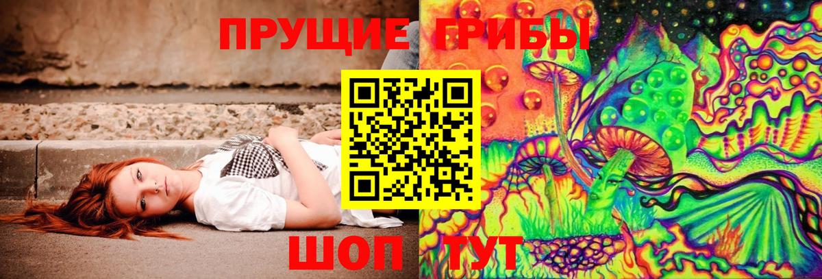 Тамбов  Галлюциногенные грибы мицелий  Вход с VPN 